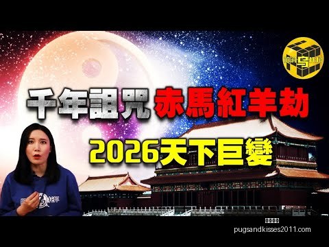 卫报,揭露,帕奎塔澄清,开云全站官网,开云全站App,开云体育,开云代理,开云入口
